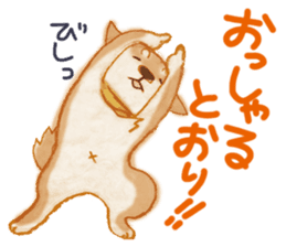 A Shiba dog good at praising you. sticker #9277505