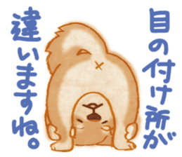 A Shiba dog good at praising you. sticker #9277510