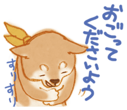 A Shiba dog good at praising you. sticker #9277512