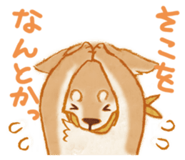 A Shiba dog good at praising you. sticker #9277514