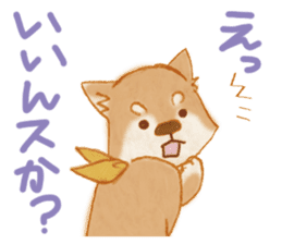 A Shiba dog good at praising you. sticker #9277521