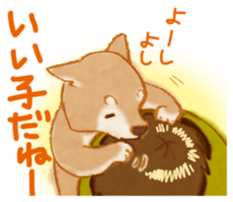 A Shiba dog good at praising you. sticker #9277528