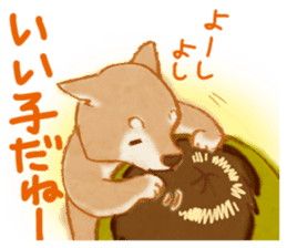 A Shiba dog good at praising you. sticker #9277528