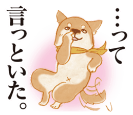 A Shiba dog good at praising you. sticker #9277535