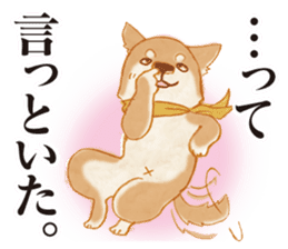 A Shiba dog good at praising you. sticker #9277535