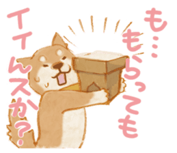 A Shiba dog good at praising you. sticker #9277536
