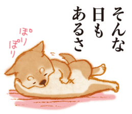 A Shiba dog good at praising you. sticker #9277540