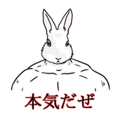 The ten heads high rabbit 3 sticker #9283445