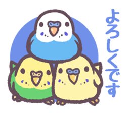 Budgerigars6 sticker #9283551
