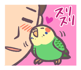 Budgerigars6 sticker #9283560