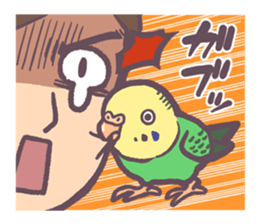 Budgerigars6 sticker #9283561