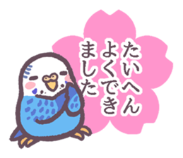 Budgerigars6 sticker #9283565