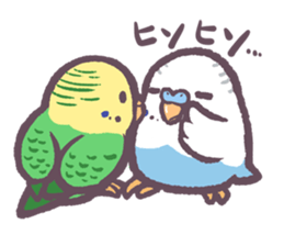Budgerigars6 sticker #9283568
