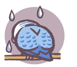 Budgerigars6 sticker #9283569