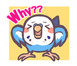 Budgerigars6 sticker #9283570