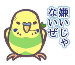 Budgerigars6 sticker #9283573