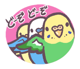 Budgerigars6 sticker #9283574