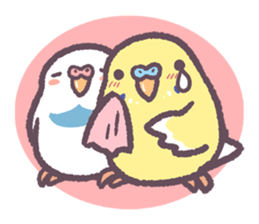 Budgerigars6 sticker #9283577