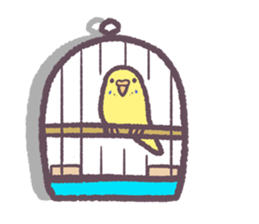 Budgerigars6 sticker #9283582