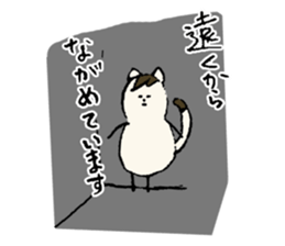 I'm an Ordinary cat family...Peanut cat sticker #9285929