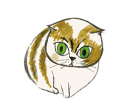 Chaton Chaton 2 sticker #9287437