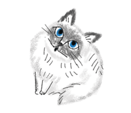 Chaton Chaton 2 sticker #9287438