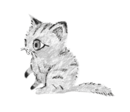 Chaton Chaton 2 sticker #9287450