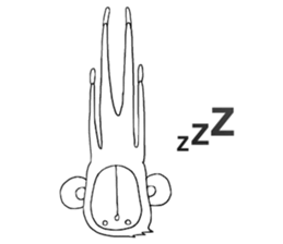 Monkey. White Monkey. sticker #9287515