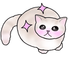 kawaii meow sticker #9291491