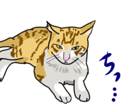 Words that would be said 2 sticker #9291773