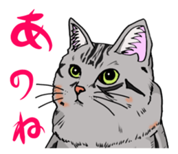 Words that would be said 2 sticker #9291774