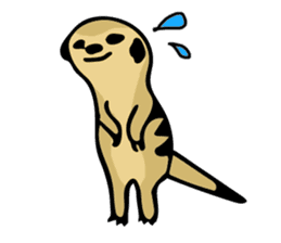 Meerkat Runa sticker #9291804
