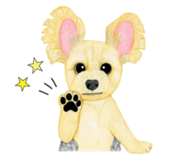 Yorkie Sticker 3  ! sticker #9291936