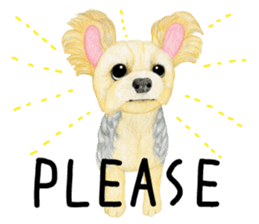 Yorkie Sticker 3  ! sticker #9291953