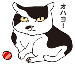 Happy life with a cat (Part7) sticker #9292524