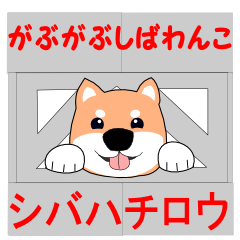 Gabu Gabu Shiba Wanko "Shibahachirou".