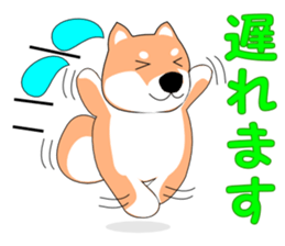 Gabu Gabu Shiba Wanko "Shibahachirou". sticker #9295030