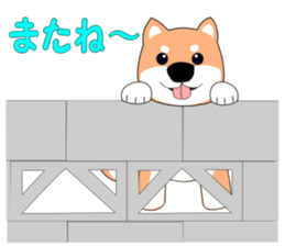 Gabu Gabu Shiba Wanko "Shibahachirou". sticker #9295052