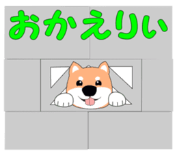 Gabu Gabu Shiba Wanko "Shibahachirou". sticker #9295055