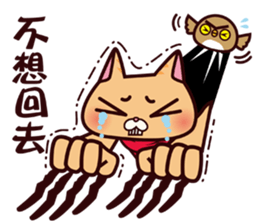 DreamTripper KiKi Cat sticker #9295870