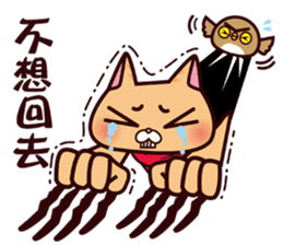 DreamTripper KiKi Cat sticker #9295870