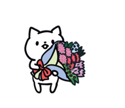 cat celebrated much sticker #9296499