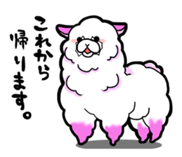 softly alpaca sticker #9298355