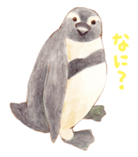 shizuka's animal Sticker sticker #9306195