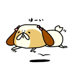 Shih Tzu 2 sticker #9309185