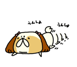 Shih Tzu 2 sticker #9309189