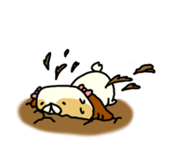 Shih Tzu 2 sticker #9309192