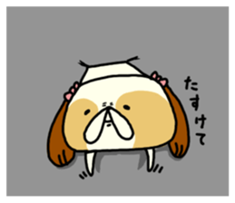 Shih Tzu 2 sticker #9309195