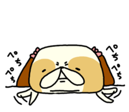 Shih Tzu 2 sticker #9309202