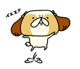 Shih Tzu 2 sticker #9309206